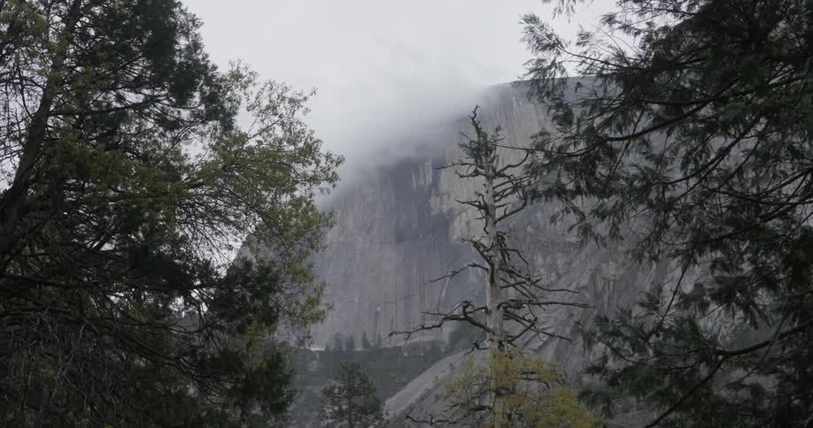 A mountain shrouded in fog with only the tops of trees in the foreground visible