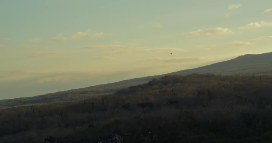 A bird flying over a tranquil landscape during twilight