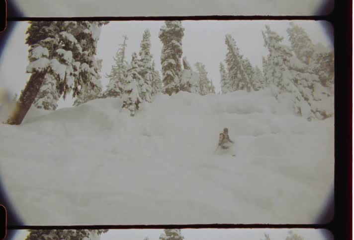 Skier skies down slope between conifers during a snowfall