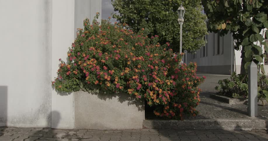 A persons shadow passes on the sidewalk