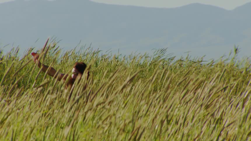 Man on a hill with vegetation dancing