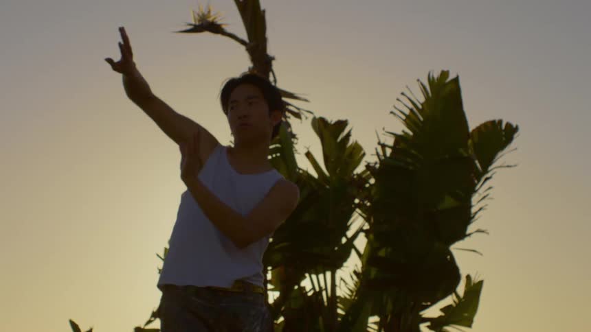 Man dancing in front of a bush with morning solar reflection