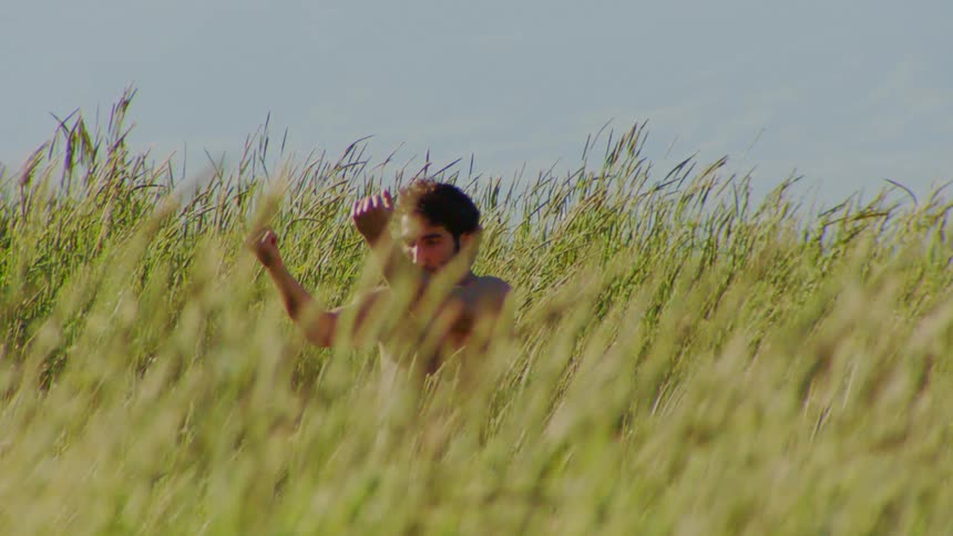 A bearded man dances in tall grass