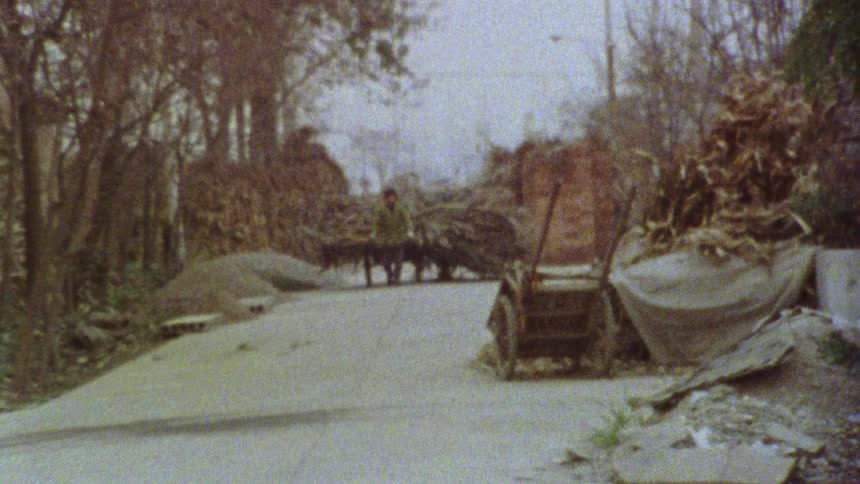 Man walks down road pulling a cart loaded with brush