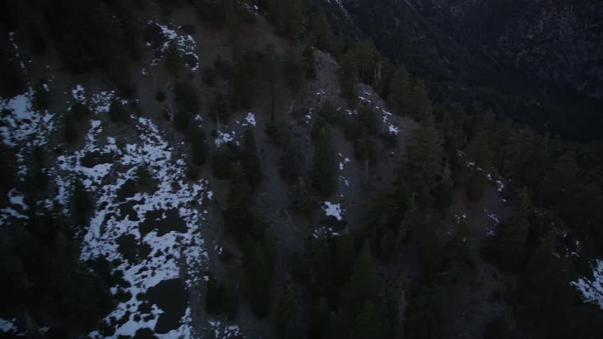 A mountain slope with snow and trees