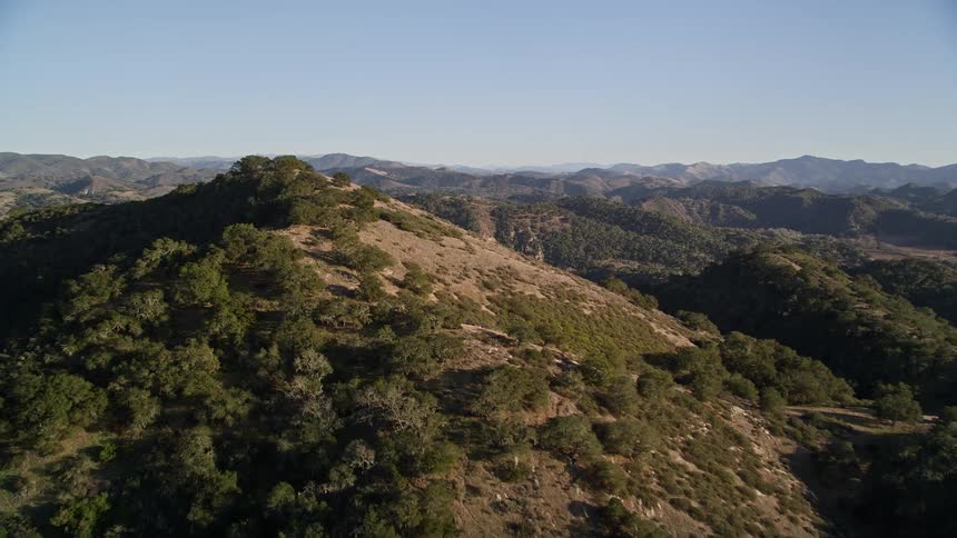 Aerial panorama of forested mountains