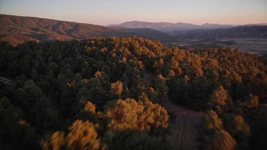 Aerial view of town nested near a dense forest at morning
