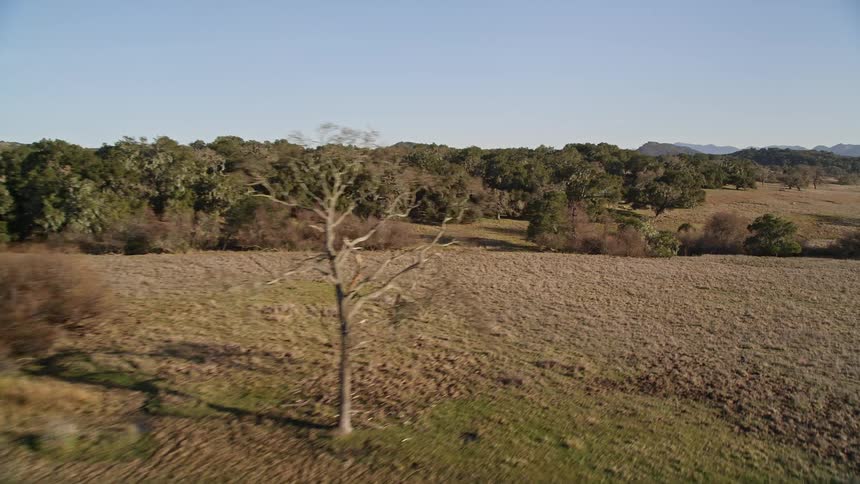 Aerial landscape of a mountain with forests