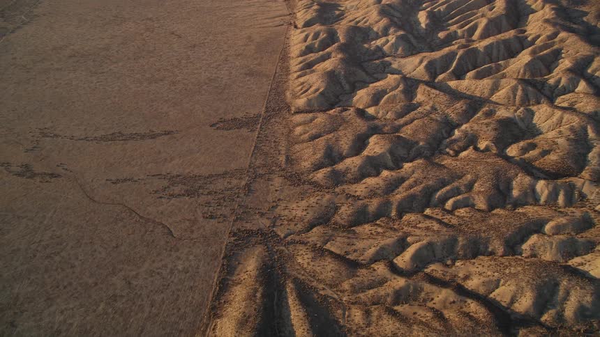 Desert terrain divided between a plain and sandy hills