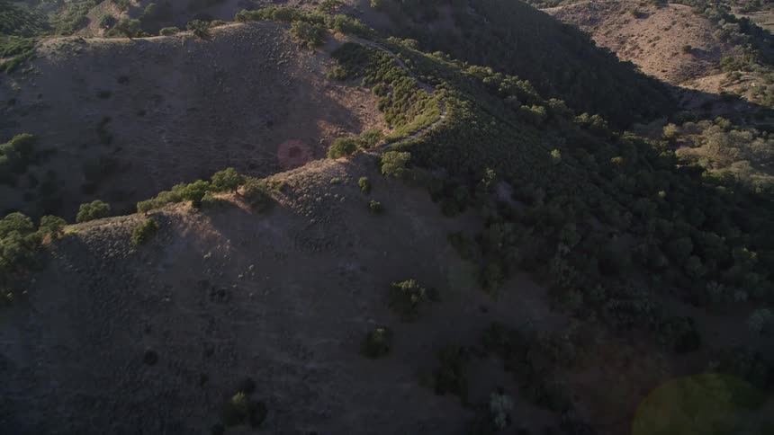 A string of mountains covered in forests and a path