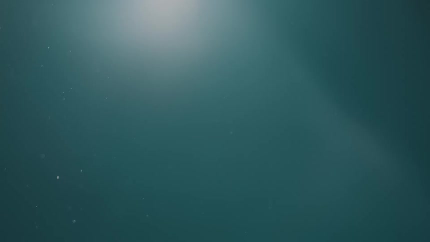 Several tiny particles in the air in an environment with a blue background and direct light coming from above