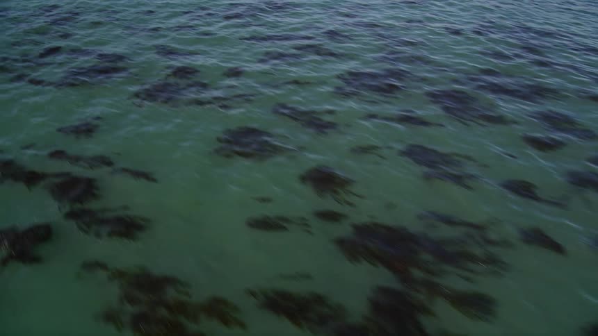 A clip of the ocean