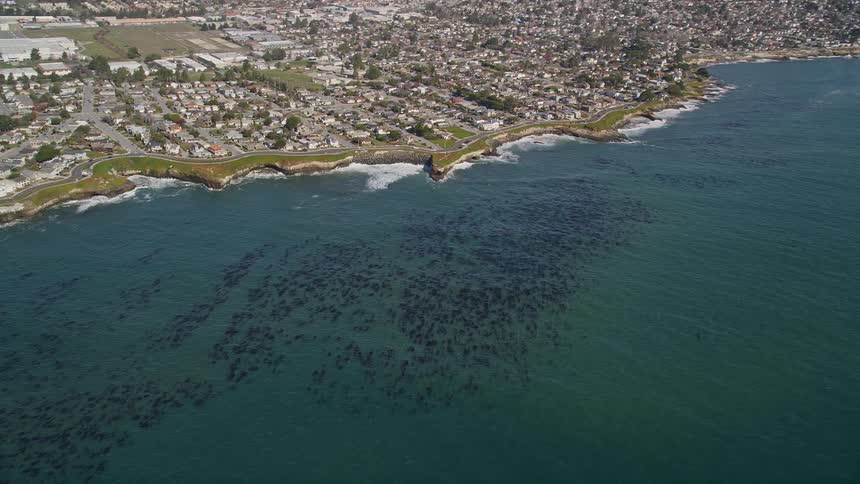 Panorama of an urban city on the edge of a vast ocean