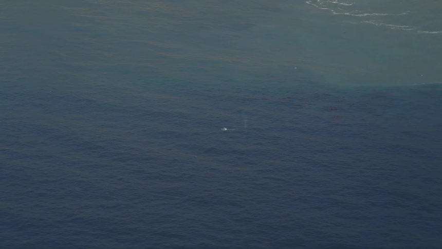 Blue ocean with calm waves