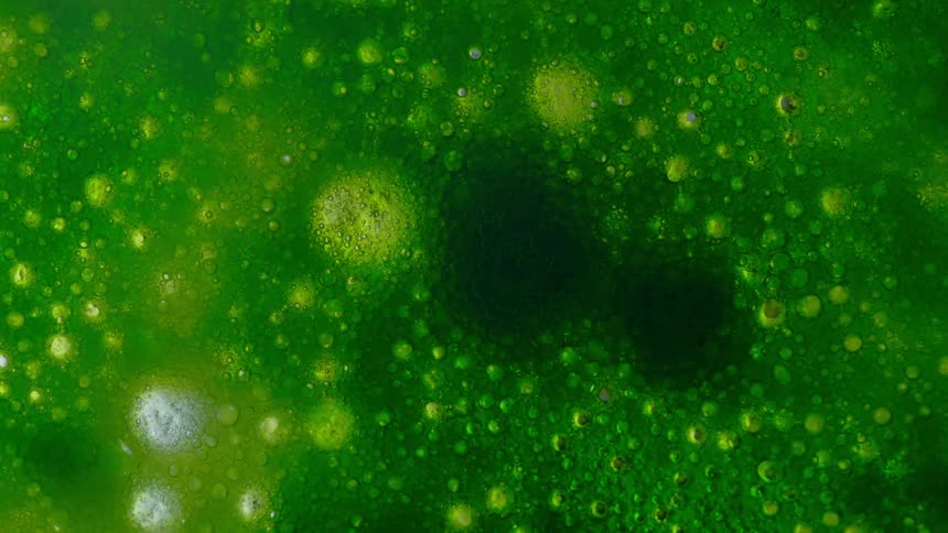 A green foam bubbles and pops