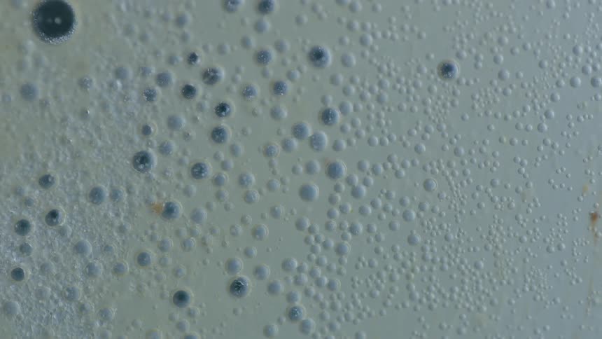 White foam bubbles pop