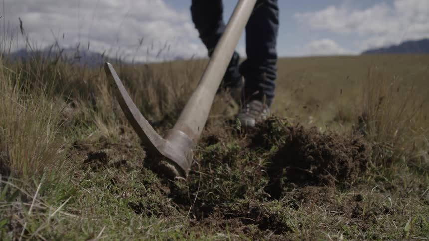 Person breaks up the ground in a field using a pick hoe