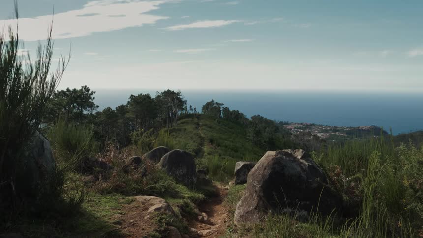 A dirt path winds through large rocks and vegetation leading toward a coastal town