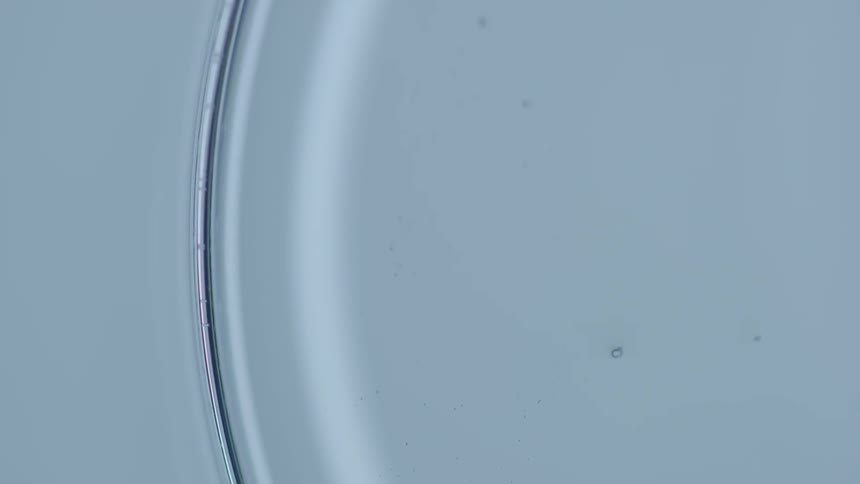 A glass container is empty