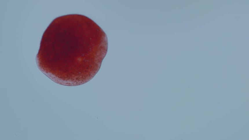 A red spot falls on a white area