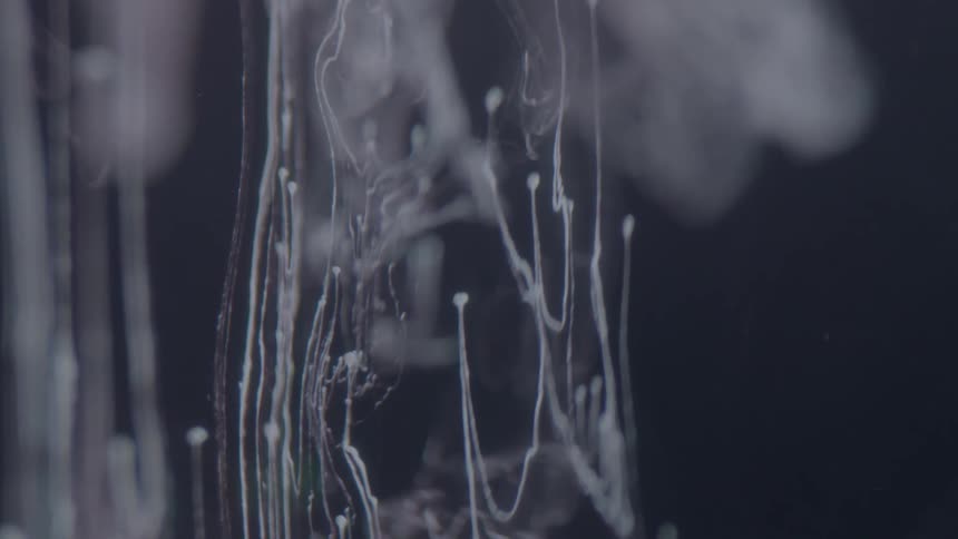 Smoky elements seen against a dark background