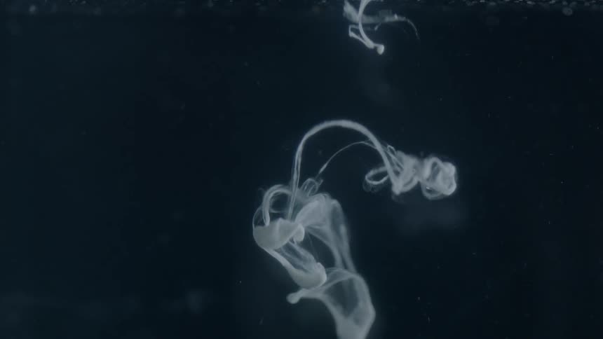 Some whitish fluid was injected into a another fluid and it floated around