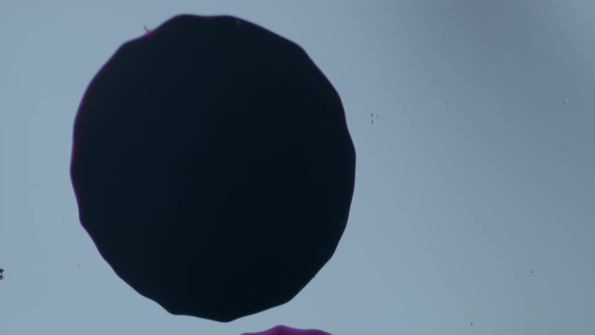 Black spots of liquid fall on a white surface