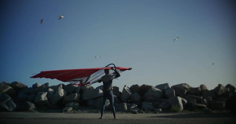 A man holds a windsurfing sail on his head while seafulls fly over him