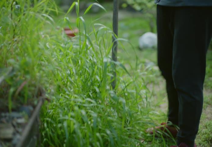 Man digs in the garden in the backyard with a shovel