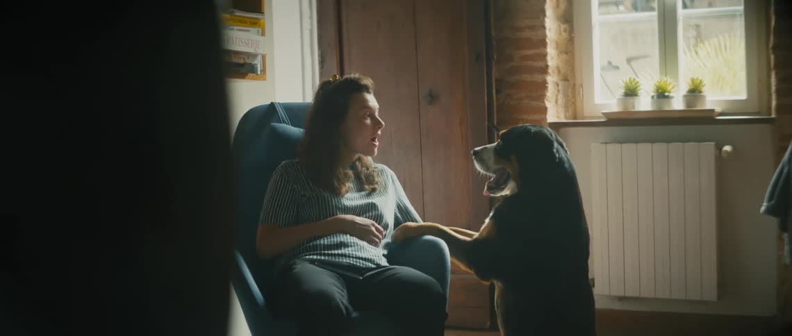 A woman training her dog to do tricks while sitting in a chair