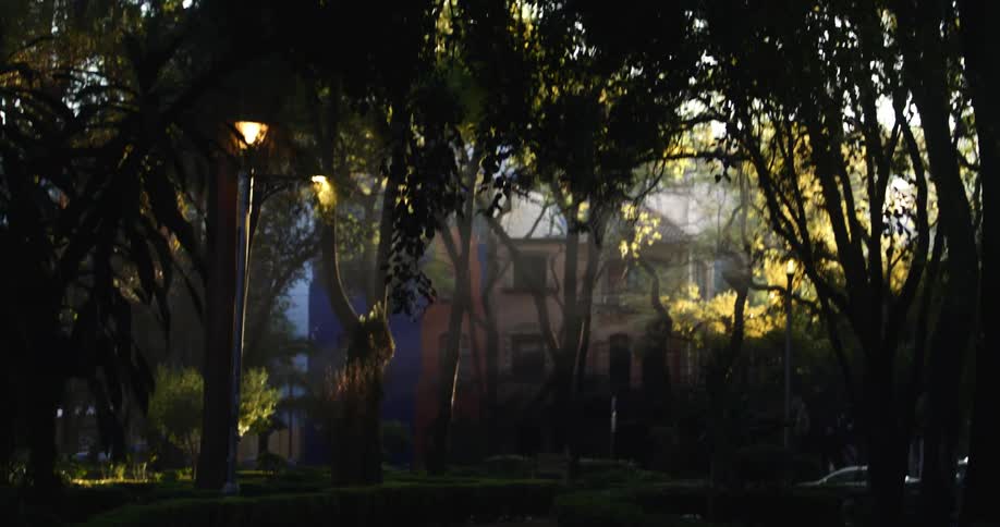 A dimly lit park at dusk with street lamps and trees casting shadows