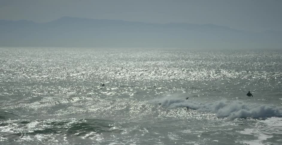 A bird flies over the ocean waves