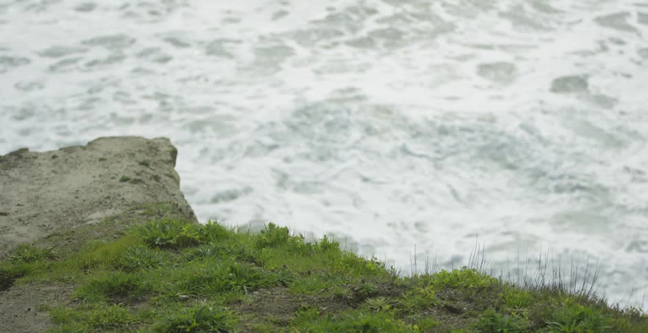 Waves coming ashore below a grassy area