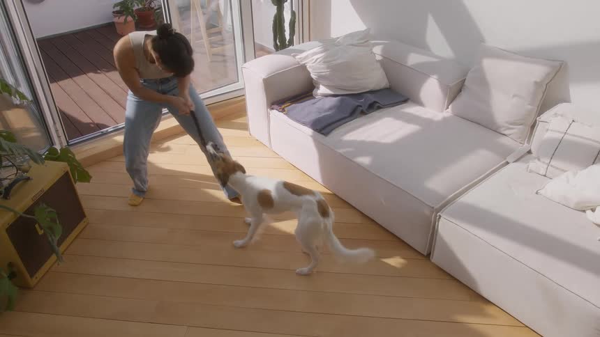 Dog pulling a rope while its owner plays and pulls on the other side