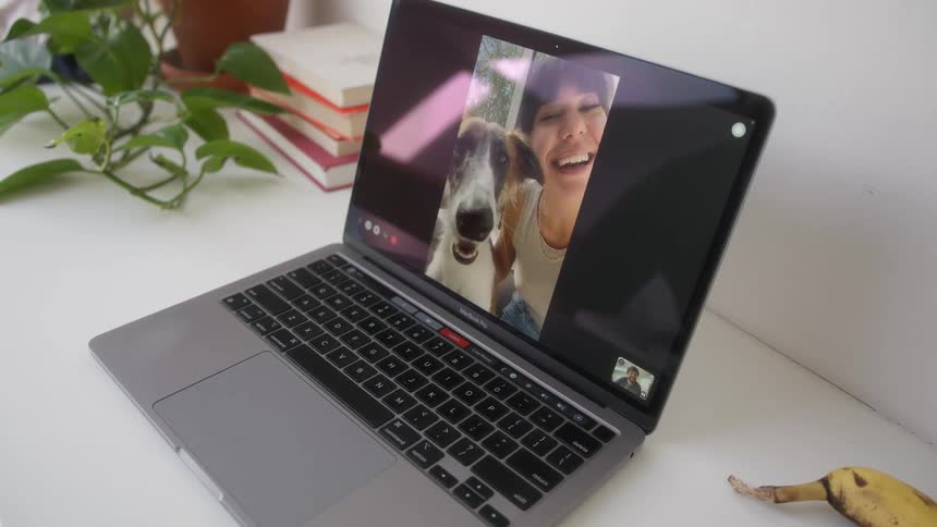 Closeup of a laptop screen on a video call with a woman and a dog appearing