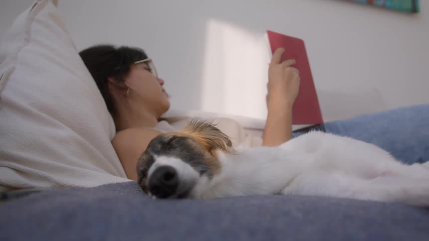 Dog sleeping on the bed next to its owner who is reading a book