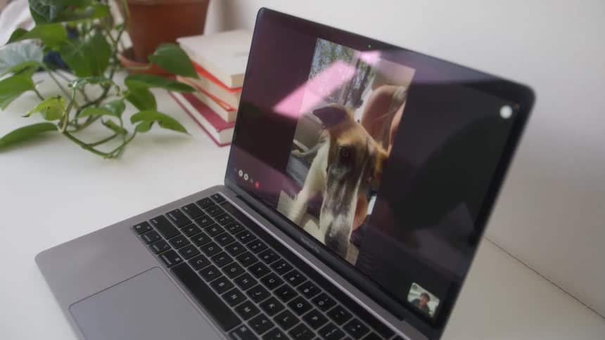 Closeup on a laptop of a woman talking and showing her dog