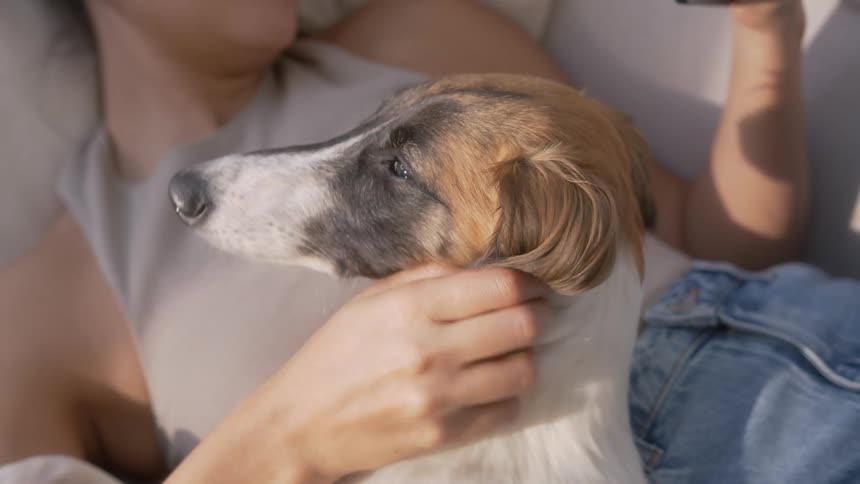 Woman lying down pets her dog while viewing smartphone