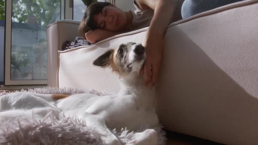 Woman lying on the sofa petting her dog next to her