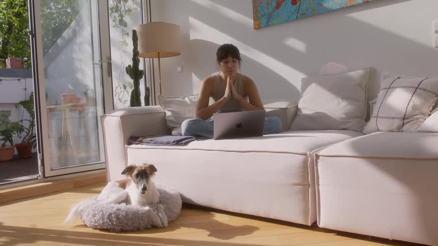 A woman sitting on the couch focuses on her laptop while her dog reclines nearby