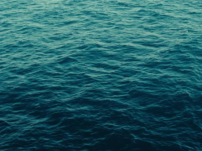 Waves move across the surface of the ocean