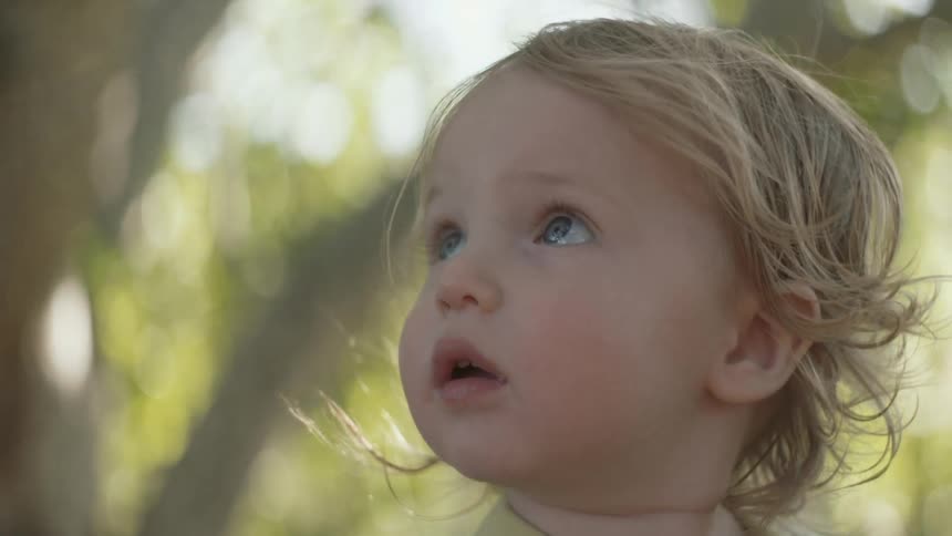 Blonde toddler looking at the wilderness in awe
