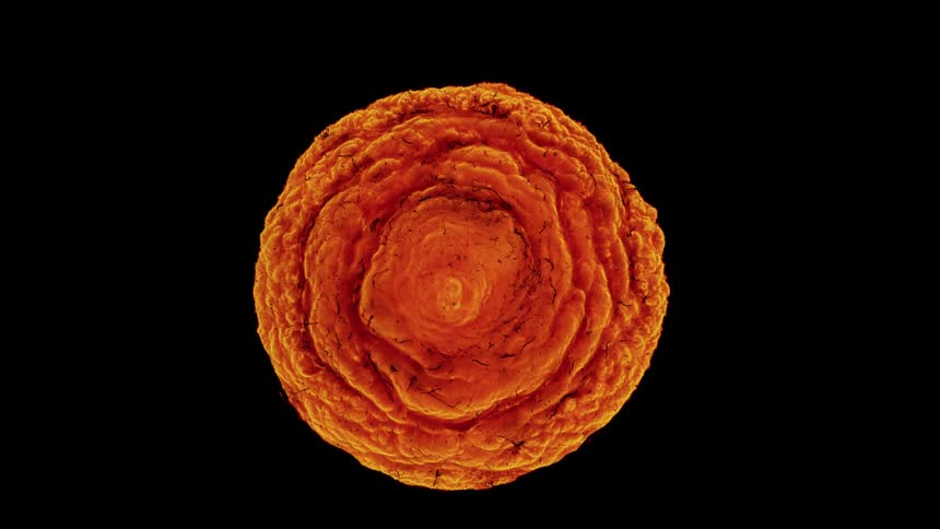 Abstract volcanic red ball emerging and disappearing against a black background