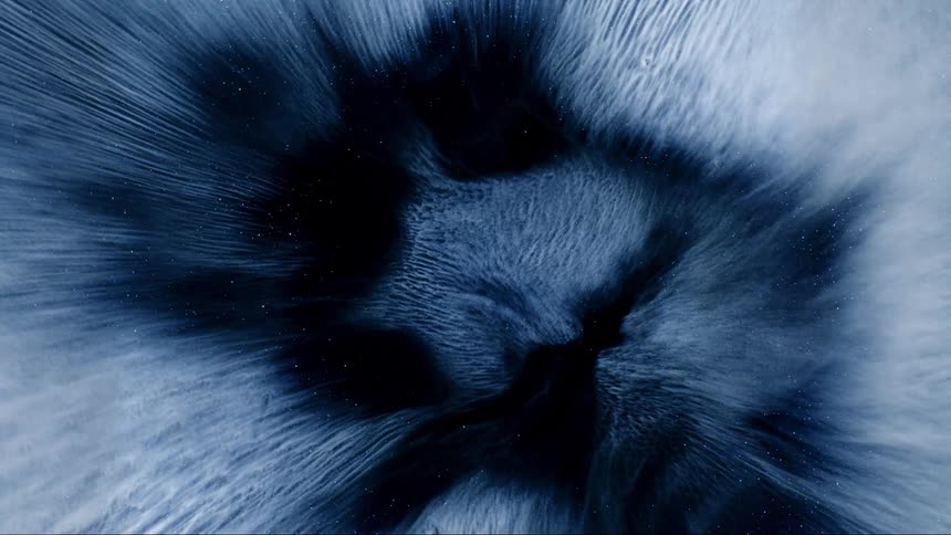 Various white and blue particles expanding on a black background