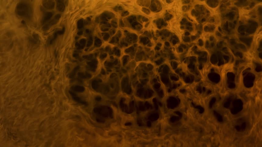 Close up of the surface of a bubbling dark yellow liquid