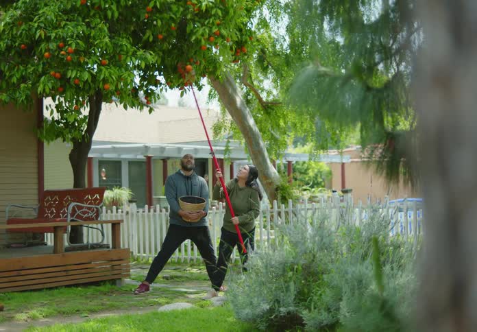 Woman with a stalk picking fruit from a tree and a man next to her with a basket