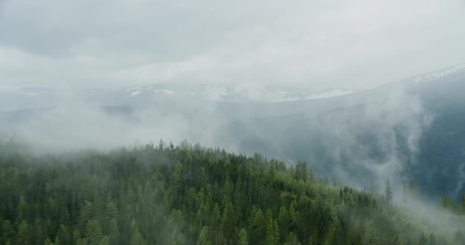 Fog covers the tree covered mountains