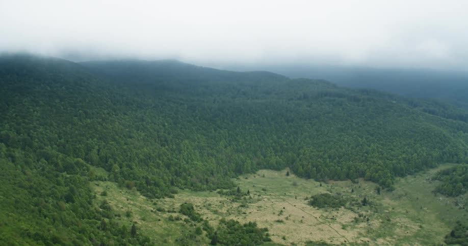 Forest covers mountains and surrounds grassland in valley on an overcast day