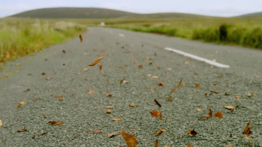 Leaves blow down a small county lane