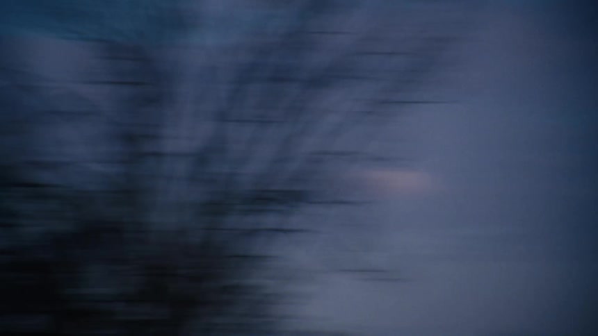 The camera quickly passes by numerous trees under a cloudy sky